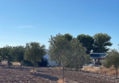 Casa de campo con terreno en venta en Turrillas ref: TR336800 foto