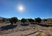 Casa de campo con terreno en venta en Turrillas ref: TR336800 foto