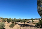 Casa de campo con terreno en venta en Turrillas ref: TR336800 foto