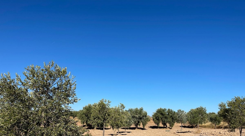 Almería - Turrillas - 132m2