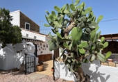 Casa de camp amb terreny en venda a la España, Sorbas, ref.: TR339698 foto