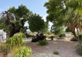 Casa de camp amb terreny en venda a la España, Sorbas, ref.: TR339698 foto