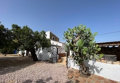 Casa de camp amb terreny en venda a la España, Sorbas, ref.: TR339698 foto