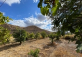 Casa de camp amb terreny en venda a la España, Sorbas, ref.: TR344937 foto