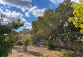 Casa de camp amb terreny en venda a la España, Sorbas, ref.: TR344937 foto