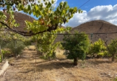 Casa de camp amb terreny en venda a la España, Sorbas, ref.: TR344937 foto