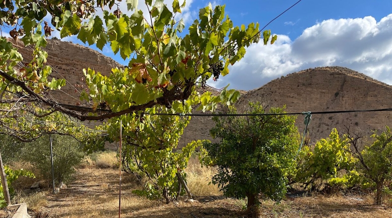 Almería - Sorbas - 278m2