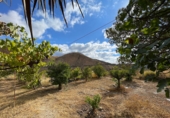 Casa de camp amb terreny en venda a la España, Sorbas, ref.: TR344937 foto