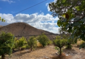 Casa de camp amb terreny en venda a la España, Sorbas, ref.: TR344937 foto