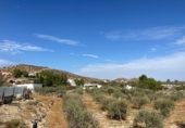 Casa de camp amb terreny en venda a Tabernas ref.: TR347115 foto