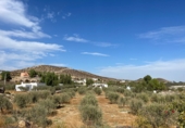 Casa de camp amb terreny en venda a Tabernas ref.: TR347115 foto