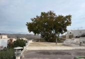 Casa de poble en venda a la España, Lucainena de las Torres, ref.: TR353721 foto
