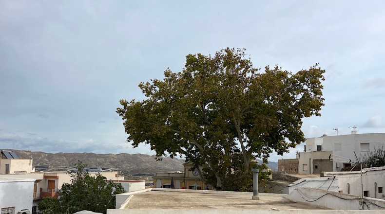 Almería - Lucainena de las Torres - 240m2
