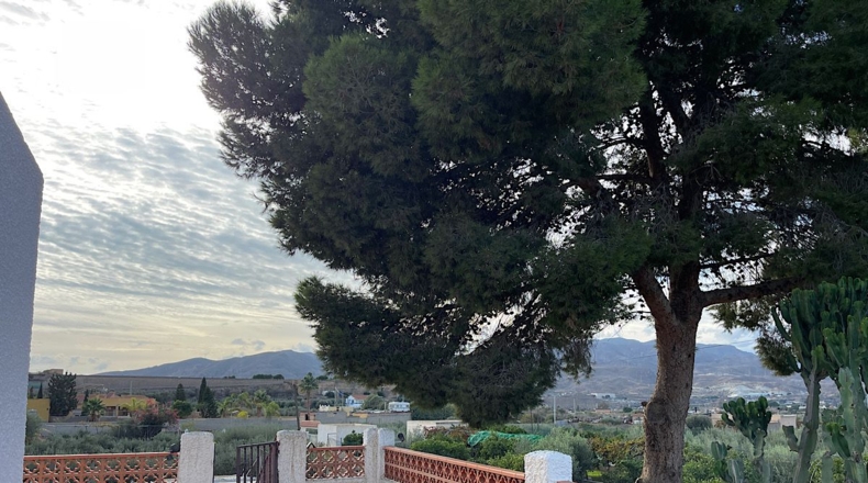 Almería - Pechina - 1415m2