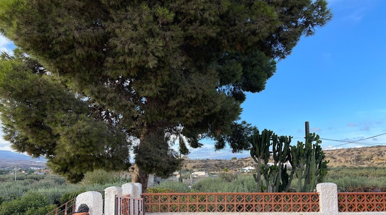 Almería - Pechina - 1415m2