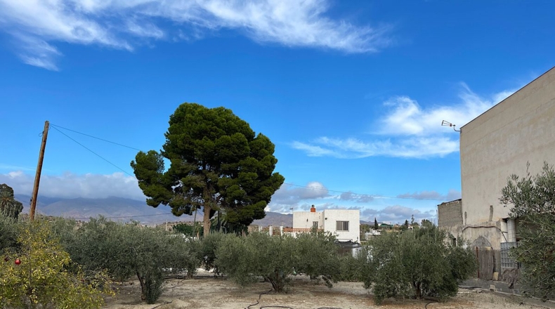 Almería - Pechina - 1415m2