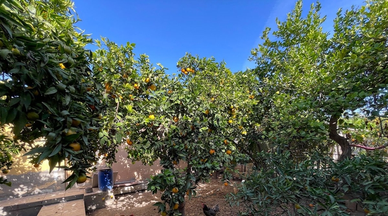 Almeria - Pechina - 300m2