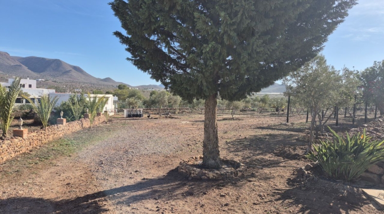 Almeria - Cabo de Gata - 9740m2