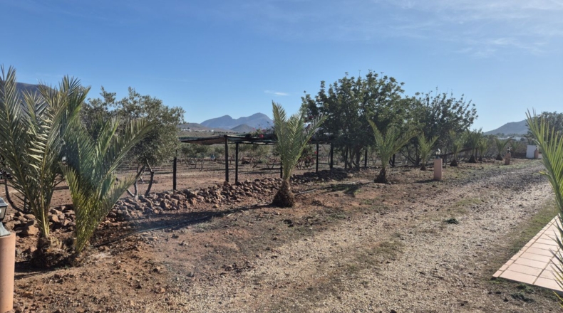 Almeria - Cabo de Gata - 9740m2