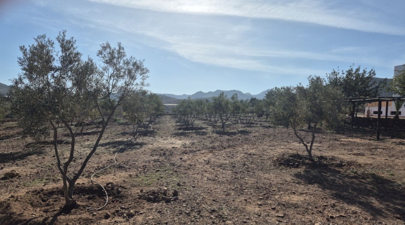 Almeria - Cabo de Gata - 9740m2