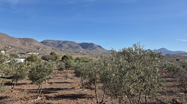 Almeria - Cabo de Gata - 9740m2