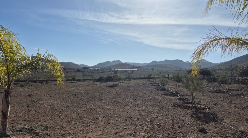 Almeria - Cabo de Gata - 9740m2