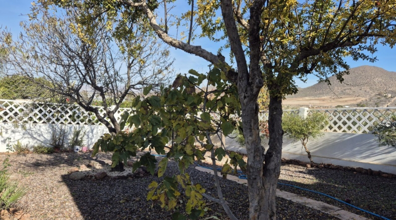 Almeria - Cabo de Gata - 9740m2