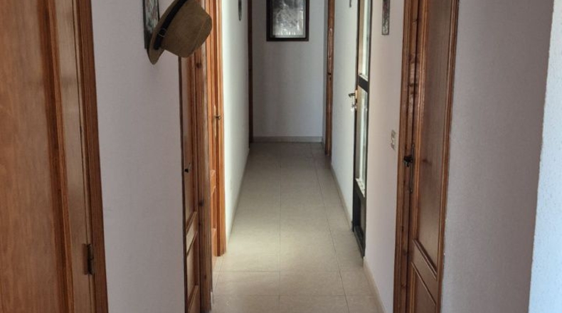 Almería - Los Gallardos - 301m2