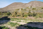 Загородный дом с участком на продажу в городе Cabo de Gata. Фото
