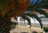 Casa de camp amb terreny en venda a Sorbas ref.: TR17203 foto