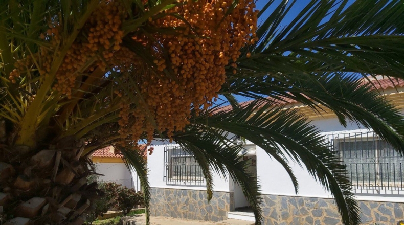 Almería - Peñas Negras - 900m2