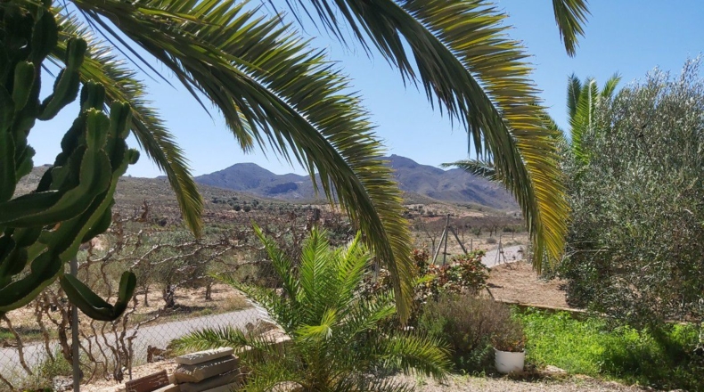 Almería - Peñas Negras - 900m2