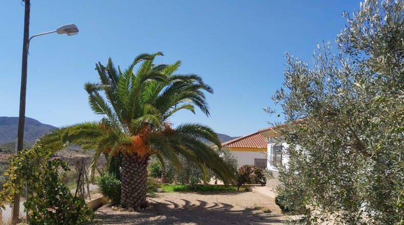 Almería - Peñas Negras - 900m2