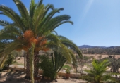 Casa de camp amb terreny en venda a Sorbas ref.: TR17203 foto