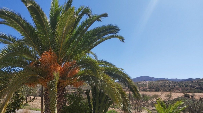 Almería - Peñas Negras - 900m2