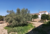 Casa de camp amb terreny en venda a Sorbas ref.: TR17203 foto