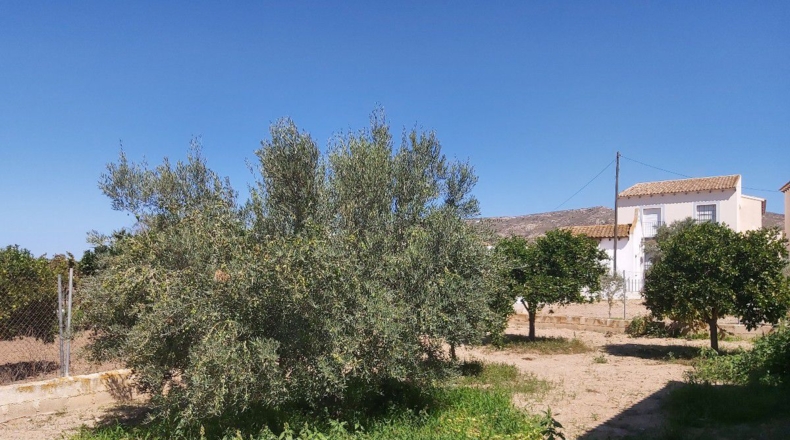 Almería - Peñas Negras - 900m2