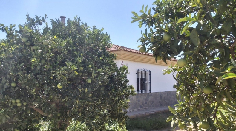 Almería - Peñas Negras - 900m2