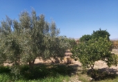 Casa de camp amb terreny en venda a Sorbas ref.: TR17203 foto