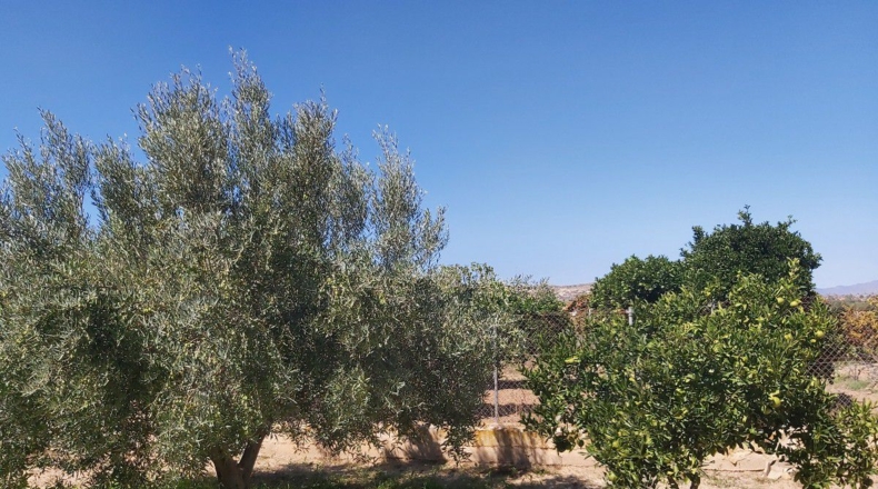 Almería - Peñas Negras - 900m2
