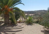 Casa de camp amb terreny en venda a Sorbas ref.: TR17203 foto