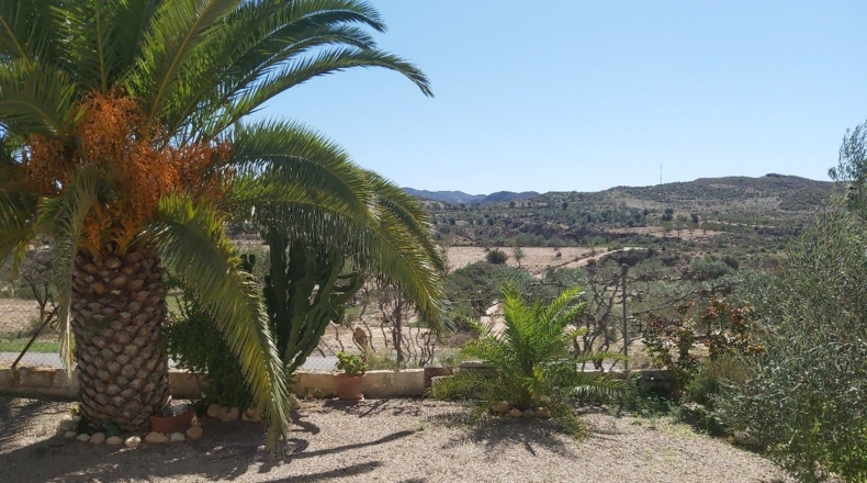 Almería - Peñas Negras - 900m2