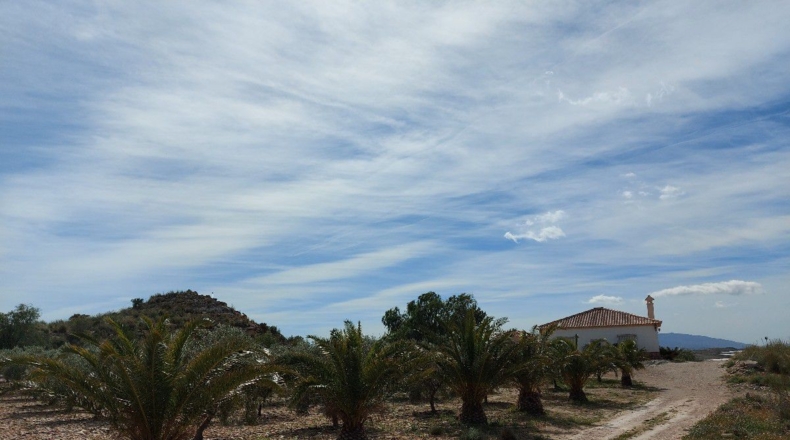 Almería - Uleila del Campo - 10000m2