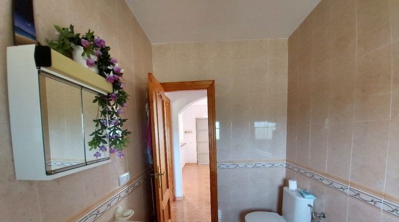 Almería - Uleila del Campo - 10000m2