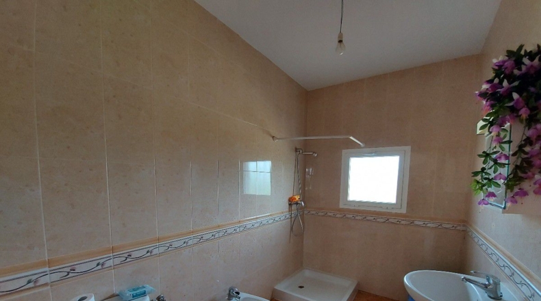 Almería - Uleila del Campo - 10000m2