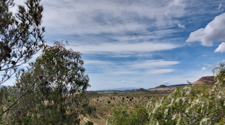Almería - Uleila del Campo - 10000m2
