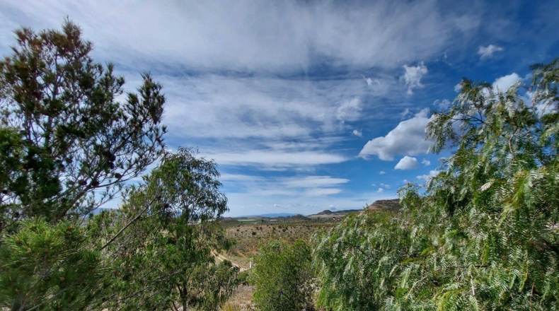 Almería - Uleila del Campo - 10000m2