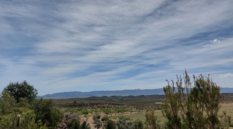 Almería - Uleila del Campo - 10000m2