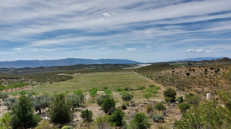 Almería - Uleila del Campo - 10000m2