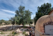Casa de camp amb terreny en venda a Uleila del Campo ref.: TR17202 foto